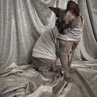 Silvermember  - Thumbnail 2