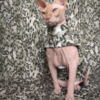 All Mixed Up - Thumbnail 1