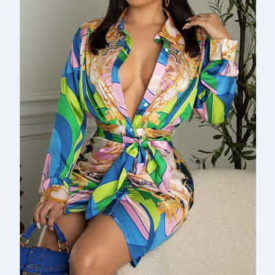 Long Sleeve Design Print Dress