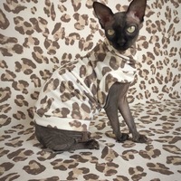 Born To Be Wild - Thumbnail 1