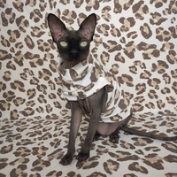 Born To Be Wild - Thumbnail 2