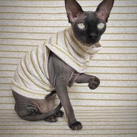 Golden Lines - Yeezus - Thumbnail 1