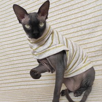 Golden Lines - Yeezus - Thumbnail 2