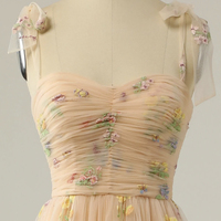 Champagne tulle lace long prom dress A line evening dress - Thumbnail 1