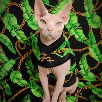 Urban Jungle - Thumbnail 2