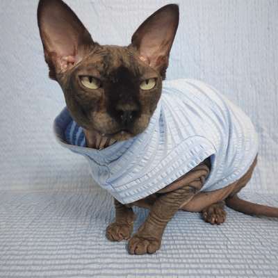 Pale blue seersucker