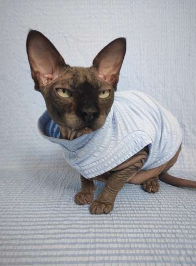 Pale Blue Seersucker