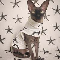 Starfish - Yeezus - Thumbnail 2