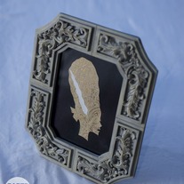 Antoinette Frankenstein (first edition)