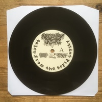 Necropsy Odor - "Tales From The Tepid Cavity" 7" - Thumbnail 1