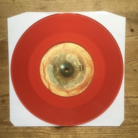 Necropsy Odor - "Tales From The Tepid Cavity" 7" - Thumbnail 4