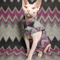 Fuzzy Zag To My Zig - Thumbnail 3