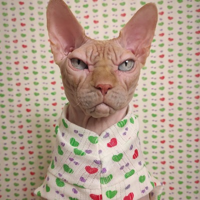 Unconditional love lace