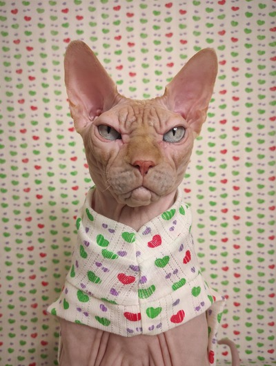 Unconditional Love Lace