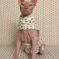 Unconditional Love Lace - Thumbnail 2