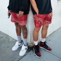 PAISLEY SHORTS - Thumbnail 2