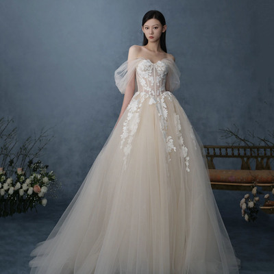 Champagne tulle lace long prom dress evening gown - Thumbnail 1