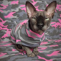 Pink & Blue Camo - Thumbnail 1