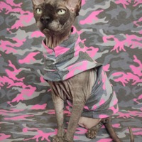 Pink & Blue Camo - Thumbnail 2