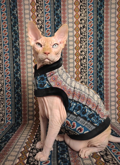 Vertical Paisley Stripes