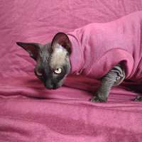 Mauve Mist - Yeezus - Thumbnail 1