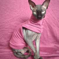 Mauve Mist - Yeezus - Thumbnail 2