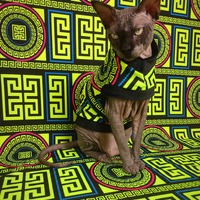 Donatella (Green) - Thumbnail 1