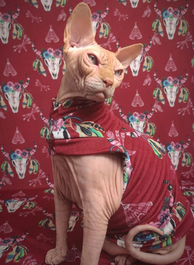 Home On The Range (Brick Red)