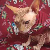 Home On The Range (Brick Red) - Thumbnail 2