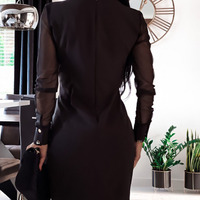 Long Sleeve Women Black Mesh Dress - Thumbnail 2