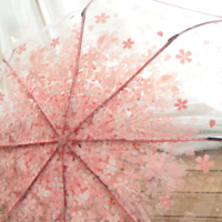 Harajuku Sakura Transparent Folding Umbrella - Thumbnail 2