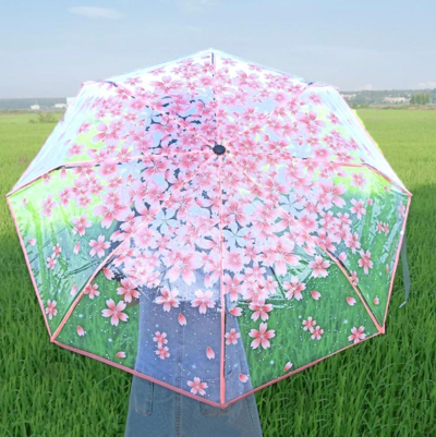 Harajuku Sakura Transparent Folding Umbrella