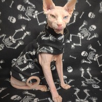 Lazy Bones - Thumbnail 1