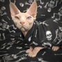 Lazy Bones-2