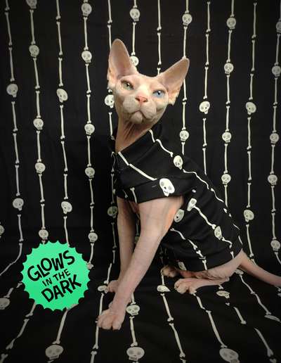  Bonestripe Glow-in-the-dark!