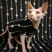  Bonestripe Glow-in-the-dark! - Thumbnail 4