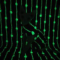  Bonestripe Glow-in-the-dark! - Thumbnail 1