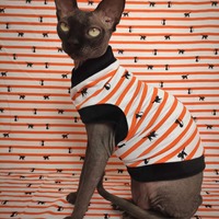 Black Cats - Thumbnail 2