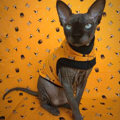 Witch parts? - Thumbnail 2