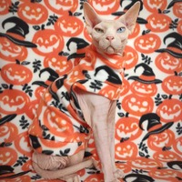 Plenty Of Pumpkins - Thumbnail 2