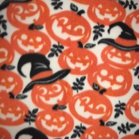 Plenty Of Pumpkins - Thumbnail 3