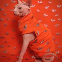 Metallic Bats - Thumbnail 2