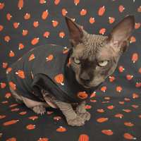 Glitter Jack-o'-lanterns - Thumbnail 1