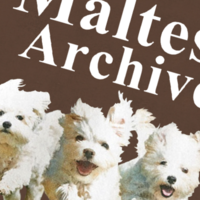 MALTESE ARCHIVE HOODIE - Thumbnail 5