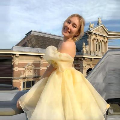 Sp2238,vintage cute classic off-the-shoulder mini princess dress cute party dress organza short dresses