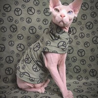 Hippie Kitty - Thumbnail 1