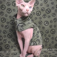 Hippie Kitty - Thumbnail 2