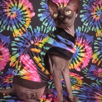 Summer Of Love - Thumbnail 1