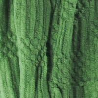 Green Monster - Thumbnail 1