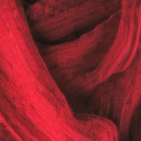 Little Red Ridding Hood - Thumbnail 1
